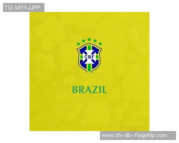 巴西足球队队徽的设计理念与历史演变探讨